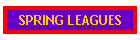 SPRING LEAGUES